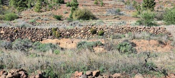 Grundstück in Vilaflor, Spain, Nr. 157775 8