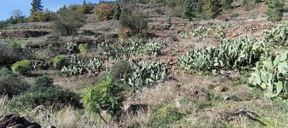 Grundstück in Vilaflor, Spain, Nr. 157775 4