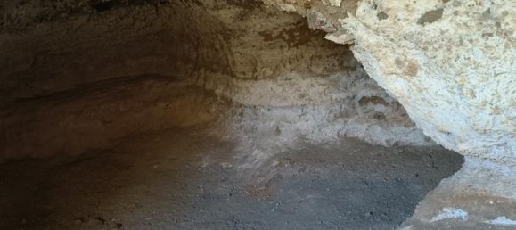 Grundstück in Vilaflor, Spain, Nr. 157775 12