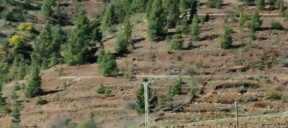 Grundstück in Vilaflor, Spain, Nr. 157775 3