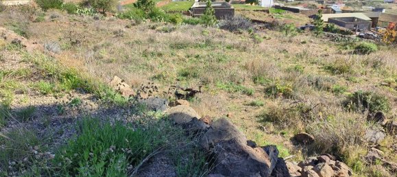 Grundstück in Vilaflor, Spain, Nr. 157775 13