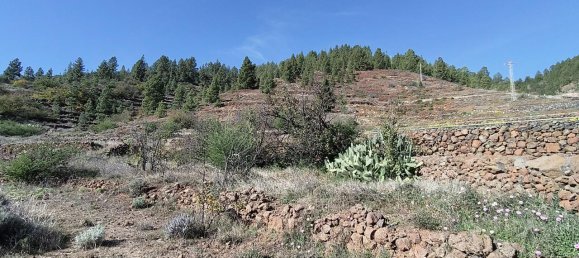 Grundstück in Vilaflor, Spain, Nr. 157775 6