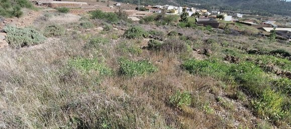 Grundstück in Vilaflor, Spain, Nr. 157775 15