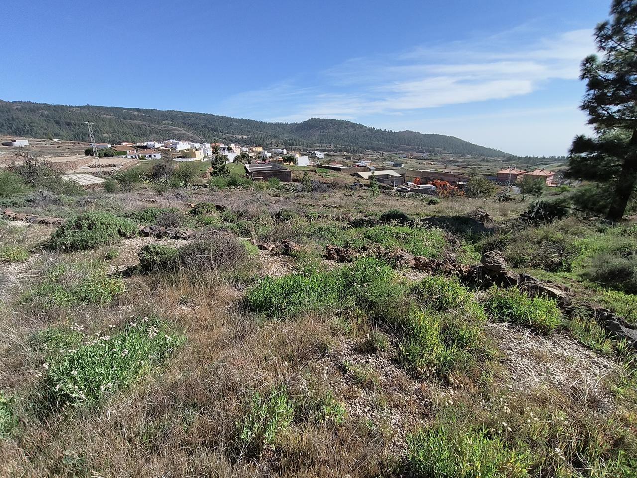 Grundstück in Vilaflor, Spain, Nr. 157775