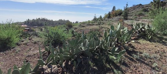 Grundstück in Vilaflor, Spain, Nr. 157775 7