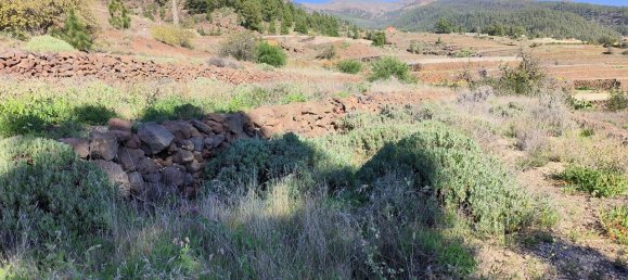 Grundstück in Vilaflor, Spain, Nr. 157775 14