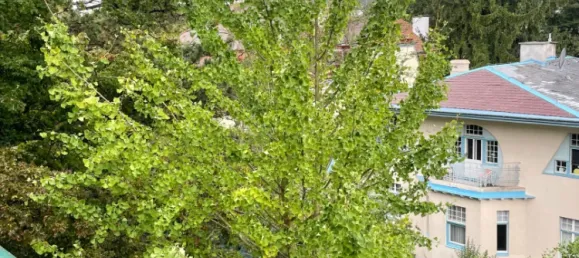 5 rooms Apartment in Hietzing, Austria No. 125273 23