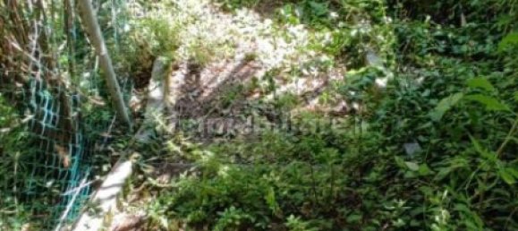 3 Schlafzimmer Haus in Genoa, Italy, Nr. 96430 16