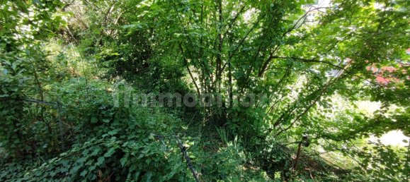 3 Schlafzimmer Haus in Genoa, Italy, Nr. 96430 10