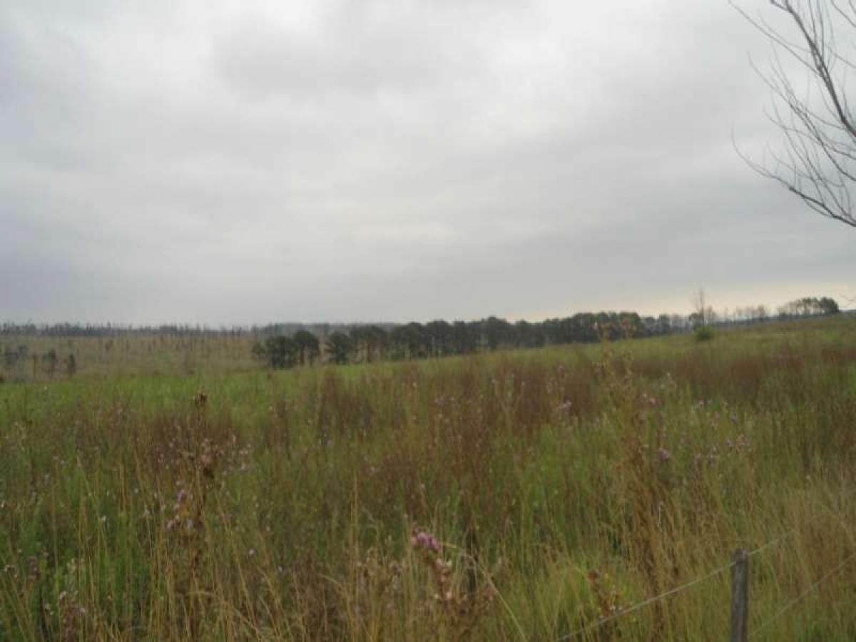  Land in Cordoba, Argentina No. 42648