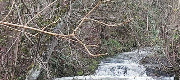 4 bedrooms House in Asturias, Spain No. 162892 18