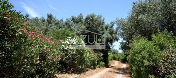 4 Schlafzimmer Villa in Loule, Portugal, Nr. 199135 40
