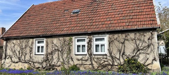 4 rooms House in Mecklenburgische Seenplatte, Germany No. 191370 2