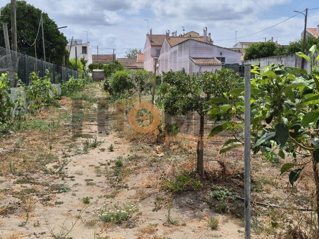 1572m² Land in Benfica do Ribatejo, Portugal No. 343476