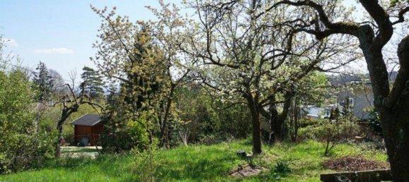 444m² Land in Hernals, Austria No. 40989 4