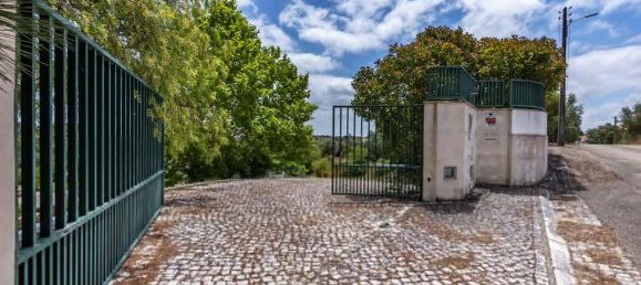 7 bedrooms House in Santarem, Portugal No. 127176 6