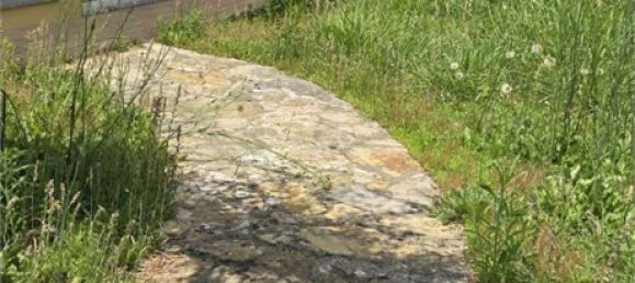 5 Schlafzimmer Villa in Capannori, Italy, Nr. 333189 7