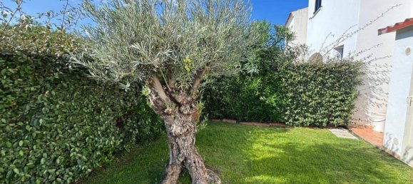 2 bedrooms House in San Teodoro, Italy No. 229475 7