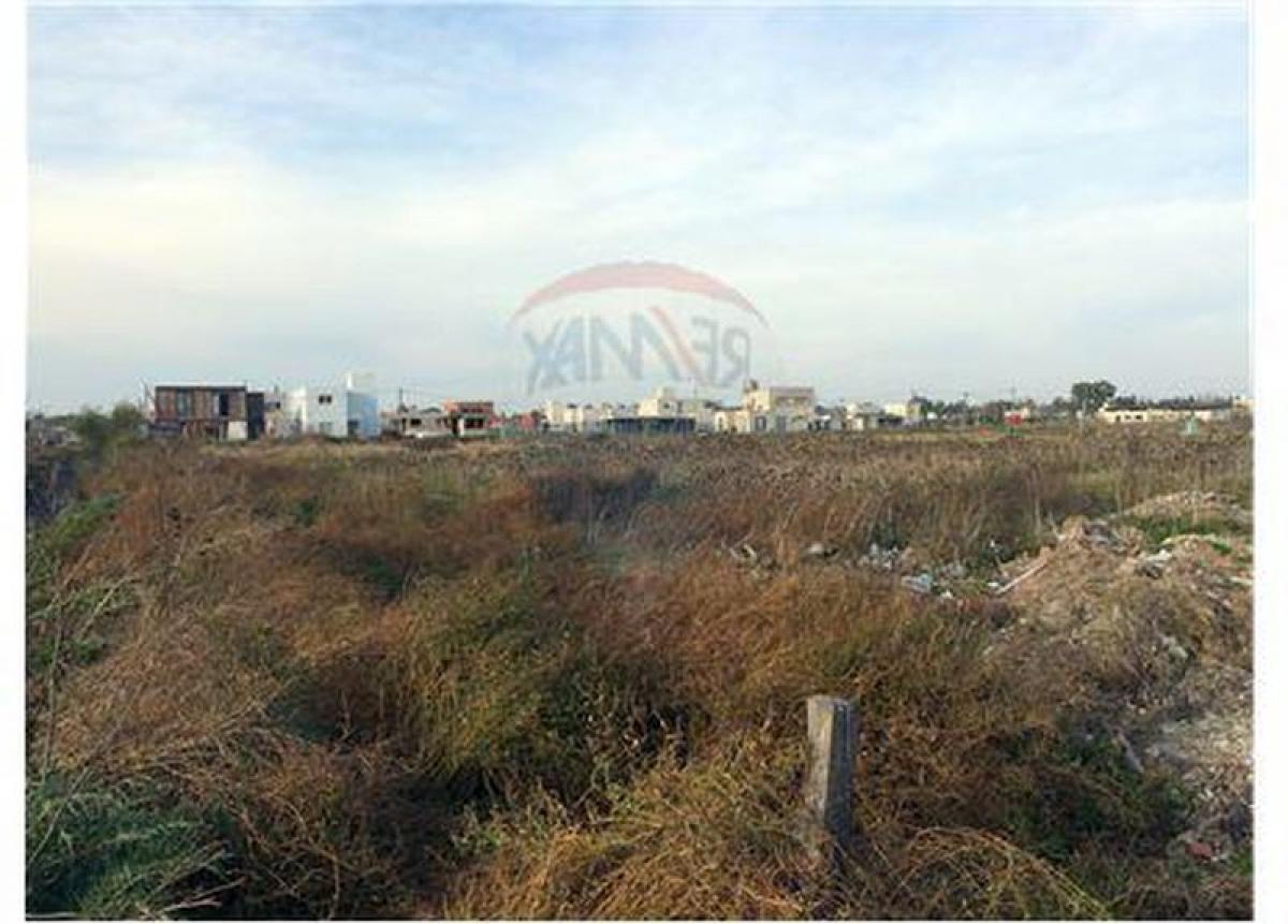 Terreno em Campo Creado, Argentina N.º 115187