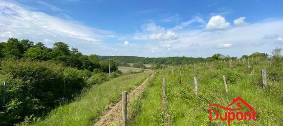 8140m² Land in Doulevant-le-Chateau, France No. 267528 4