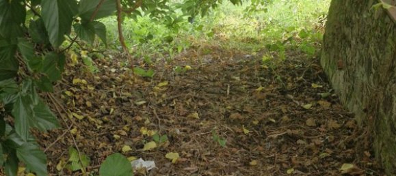 8 rooms House in Camaiore, Italy No. 288607 9