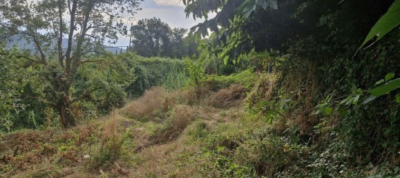 8 rooms House in Camaiore, Italy No. 288607 7