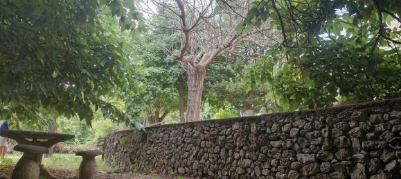 8 rooms House in Camaiore, Italy No. 288607 6