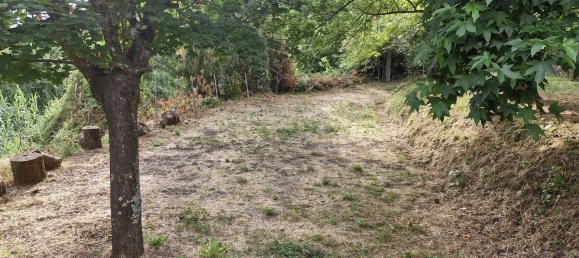 8 rooms House in Camaiore, Italy No. 288607 5