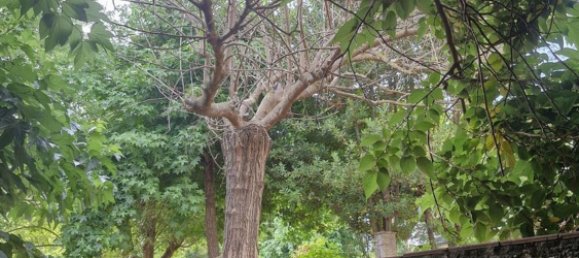 8 rooms House in Camaiore, Italy No. 288607 10