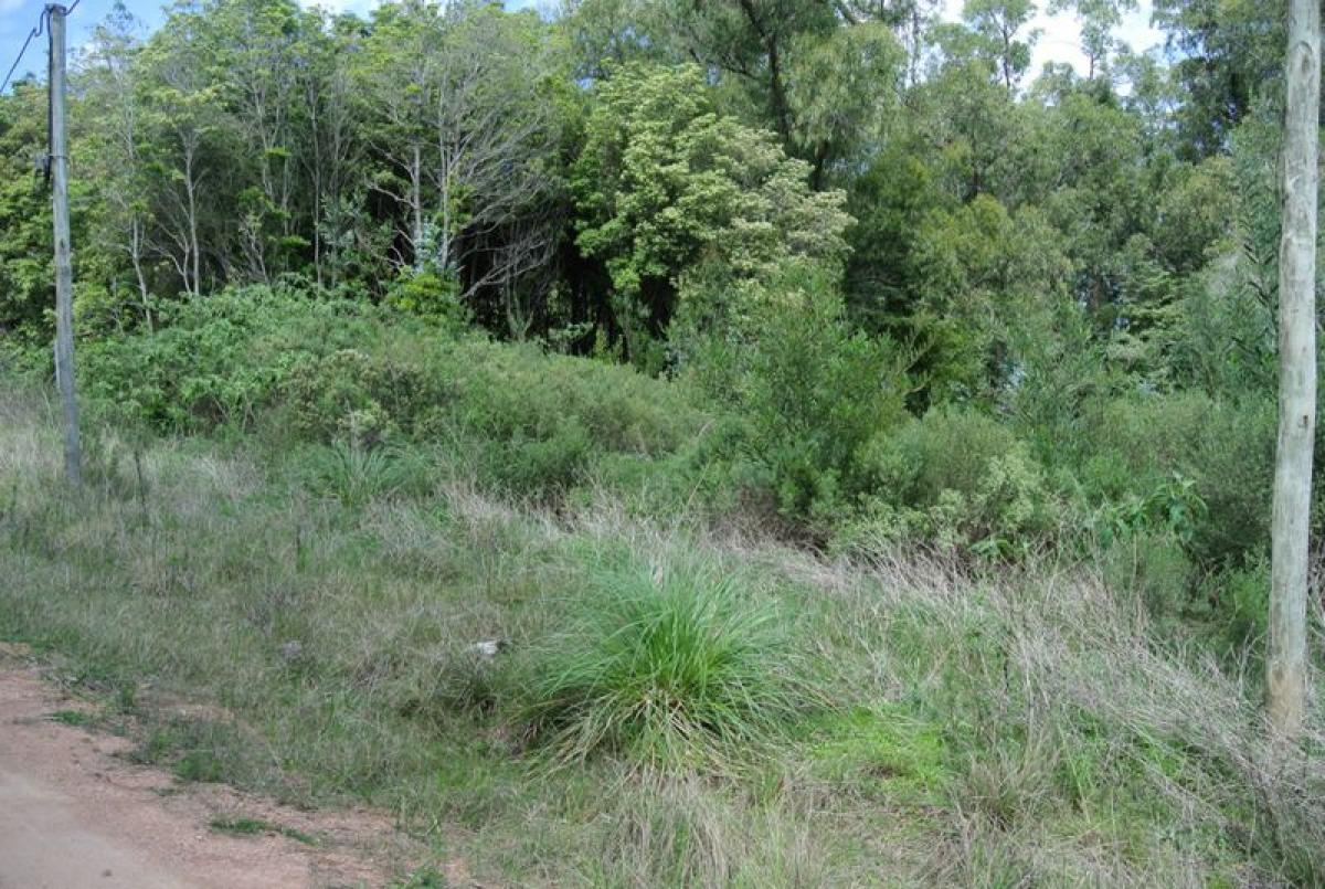 Земельный участок в Мальдонадо, Уругвай № 14032