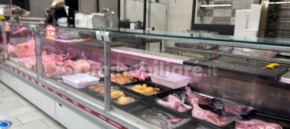 4-Zimmer Gewerbliche Immobilie in Formia, Italy, Nr. 281948 35