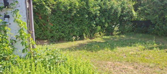 3 rooms Bungalow in Harmannsdorf, Austria No. 32699 16