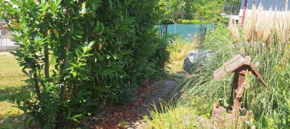 3 rooms Bungalow in Harmannsdorf, Austria No. 32699 15