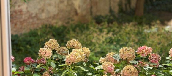 Квартира с 3 комнатами в Виден, Австрия № 241808 23