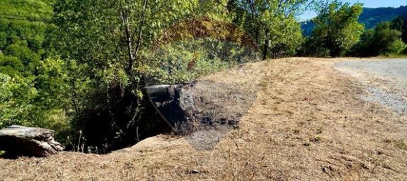 1 Schlafzimmer Haus in Sameiro, Portugal, Nr. 162030 8