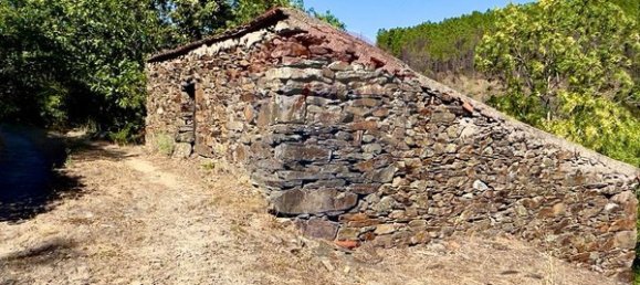 1 Schlafzimmer Haus in Sameiro, Portugal, Nr. 162030 6