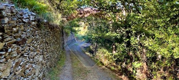 1 Schlafzimmer Haus in Sameiro, Portugal, Nr. 162030 7