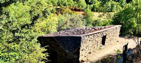 1 Schlafzimmer Haus in Sameiro, Portugal, Nr. 162030 4