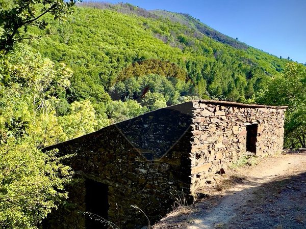 1 Schlafzimmer Haus in Sameiro, Portugal, Nr. 162030