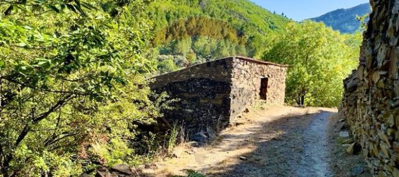 1 Schlafzimmer Haus in Sameiro, Portugal, Nr. 162030 5