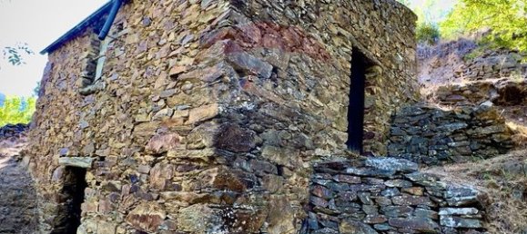 1 Schlafzimmer Haus in Sameiro, Portugal, Nr. 162030 10