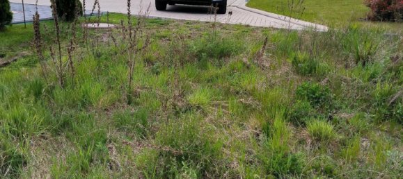 Terreno en Celle, Germany No. 299487 4