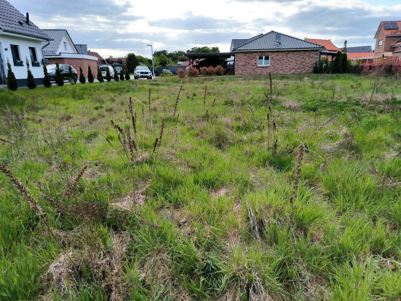 Terreno en Celle, Germany No. 299487