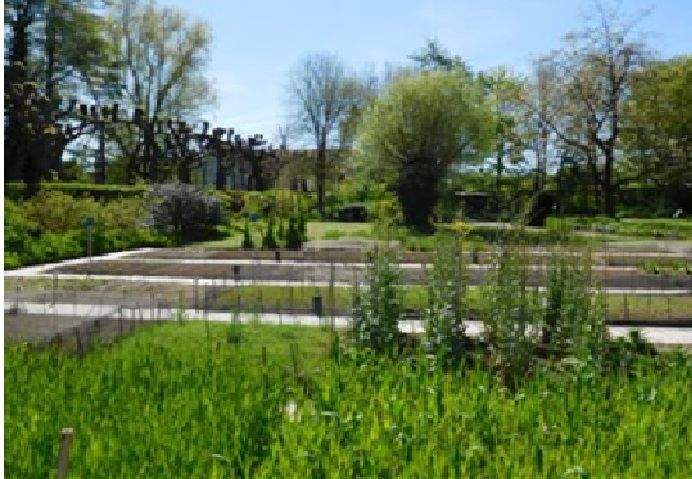  Land in Karlshorst, Germany No. 292145