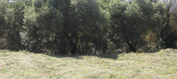 600m² Land in San Miniato, Italy No. 175427 4