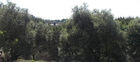 600m² Land in San Miniato, Italy No. 175427 3