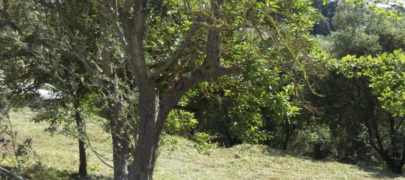 600m² Land in San Miniato, Italy No. 175427 2