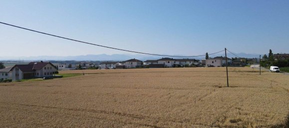 4-Zimmer Wohnung in Kematen an der Krems, Austria, Nr. 236221 2