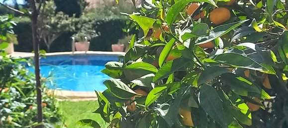 4 bedrooms Villa in Mijas, Spain No. 186076 25