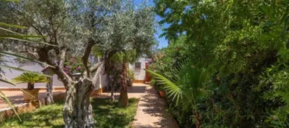 4 Schlafzimmer Haus in Alicante, Spain, Nr. 176929 38